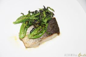 Ombrina con crema di broccolo e ostrica in emulsione di crescione